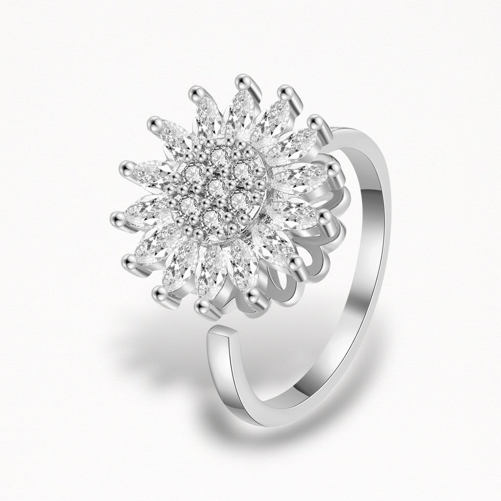 NEW YEAR'S PACKAGE - SILVER