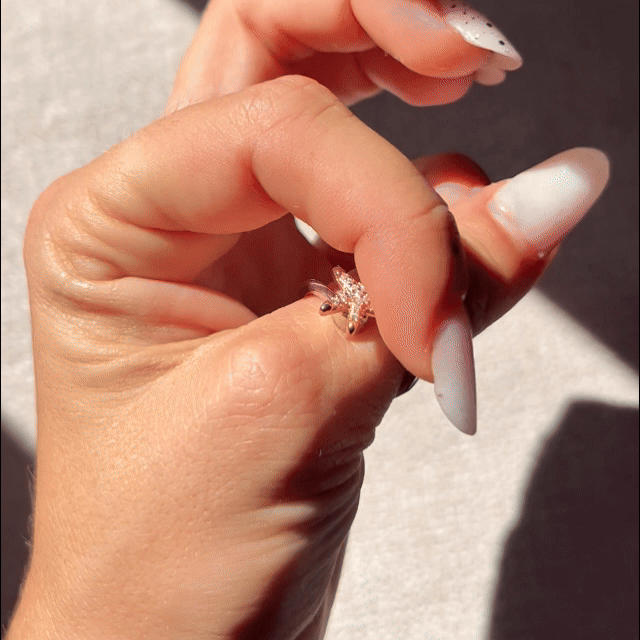 SEASTAR SPINNING RING